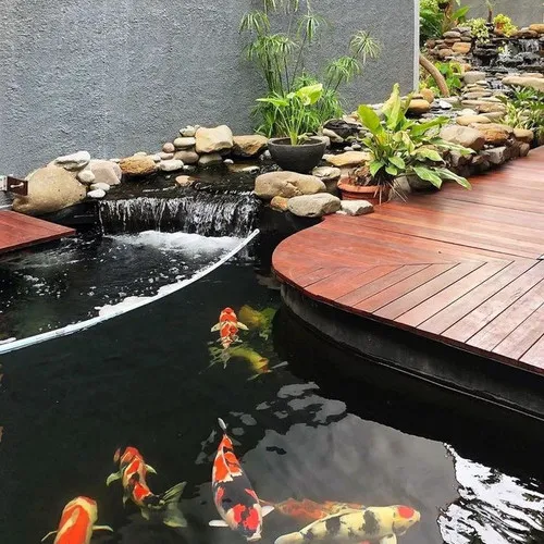 Jasa Tukang Kolam Koi Natural Batu Alam Terbaik dan Terpercaya